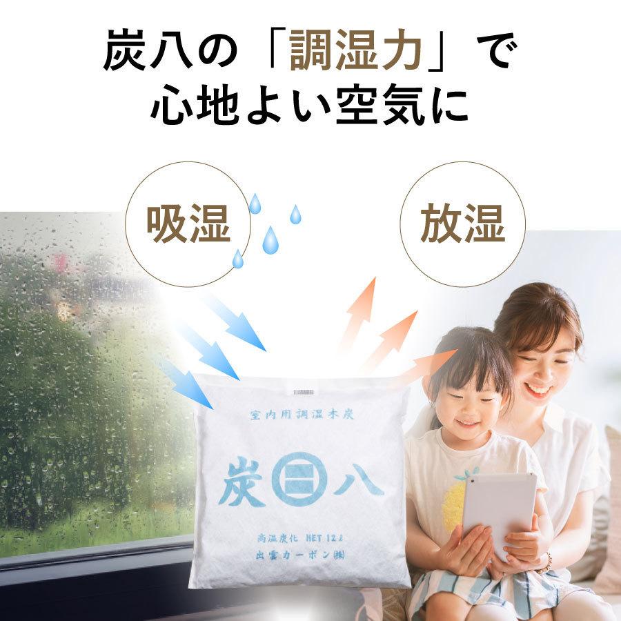 出雲カーボン 炭八 大袋・小袋セット7点除湿剤 湿気取り 乾燥剤