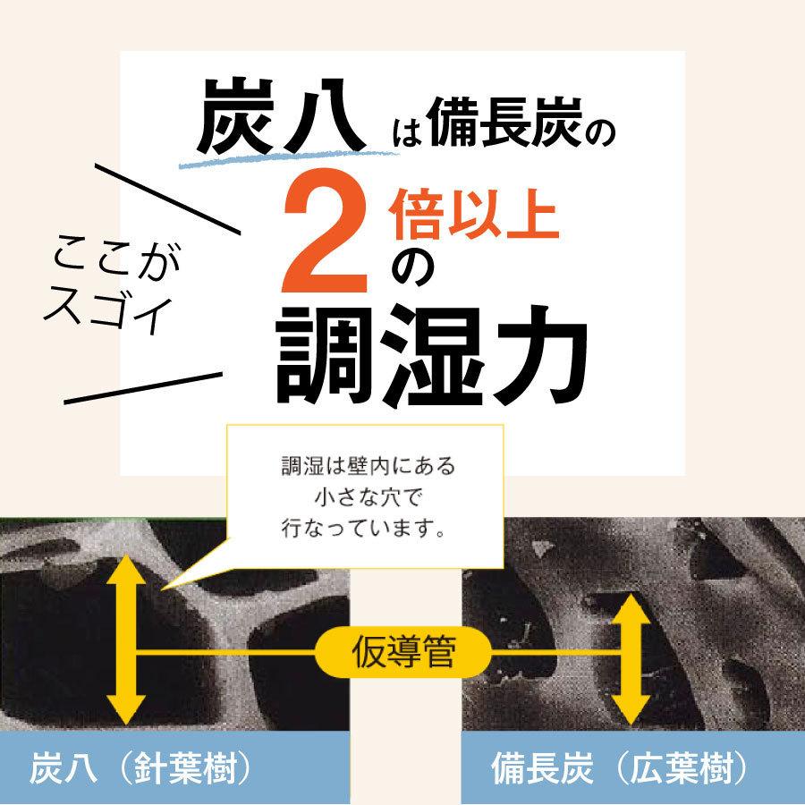 出雲カーボン 炭八 大袋・小袋セット7点除湿剤 湿気取り 乾燥剤