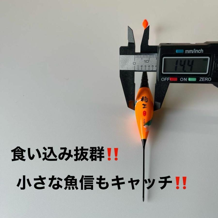 棒ウキ 0.8号 2本セット 電気ウキ へらウキ ウキトップタイプA対応 