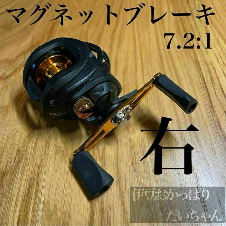 ミ*ー様 Grappler ベイトリール ブラック/ゴールド ベイトリール 左ハンドル ブラック×ゴールドスプール 海水淡水兼用