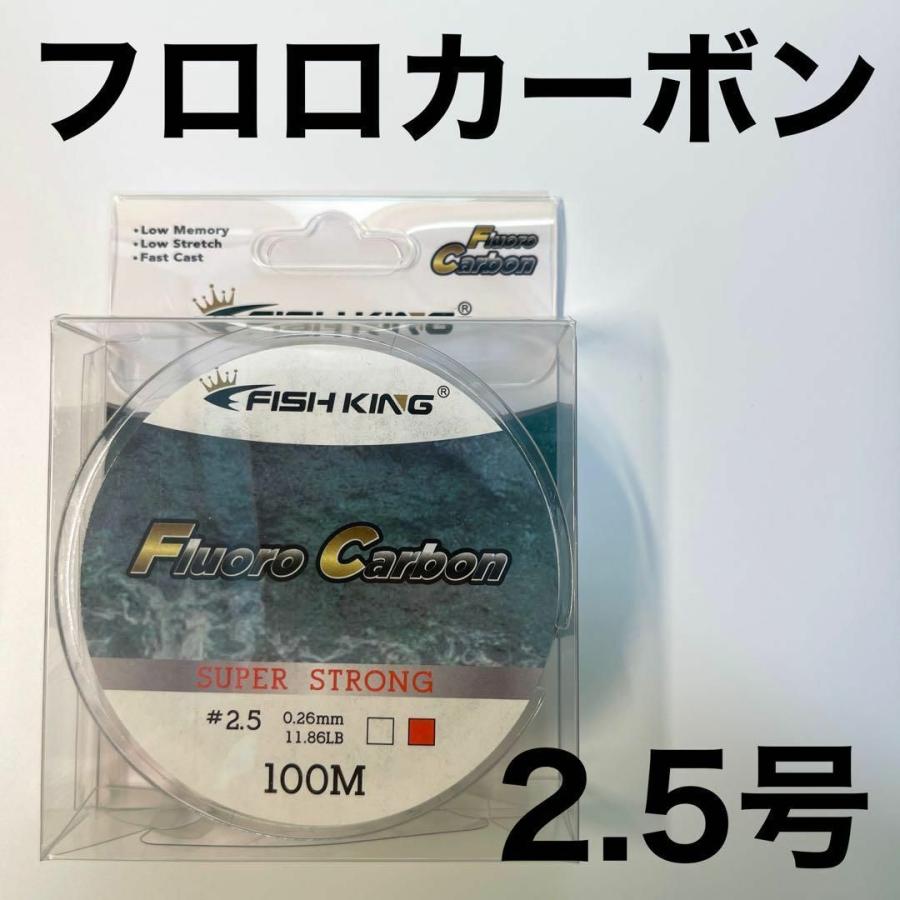 フロロカーボン 2.5号 100メートル ハリス 道糸 ショックリーダー