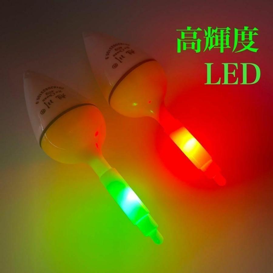 ヒットセンサー 電気ウキ 10号 12号 2個セット 電池付き 変色ウキ 緑