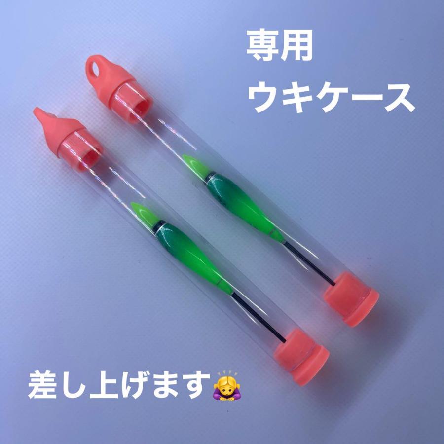 極小ウキ G4 2本セット 棒うき 誘導ウキ タナゴ浮き LED CR311 電気
