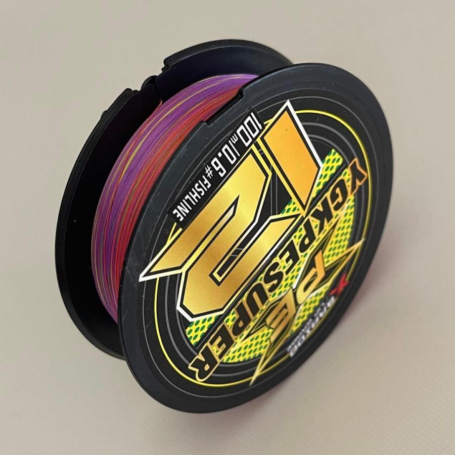 PEライン 12本編み 100m マルチカラー YGKPE X12 エギング シーバス