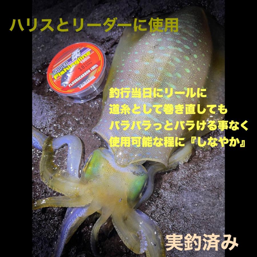 フロロカーボンライン 0.4 0.6 0.8 1 1.2 1.5 2 2.5 3 3.5 4 4.5 5 6 7