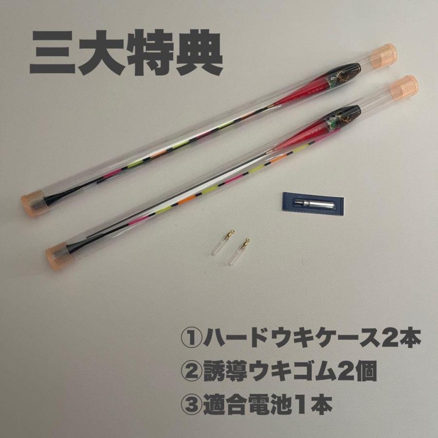 2本セット 棒ウキ 5B 9点発光 ヘラウキ へらうき 電気ウキ YT22 : 伊豆