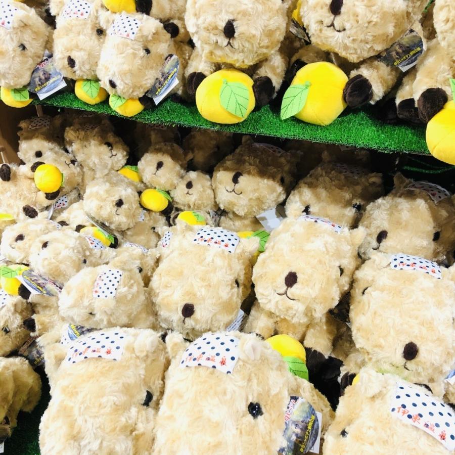 注文殺到 伊豆シャボテン本舗限定 カピバラカレンダー Love湯 カピバラ S お買い得セット 元祖カピバラの露天風呂 ゆず湯 人気 Kp 1 Set 伊豆シャボテン本舗 通販 Yahoo ショッピング