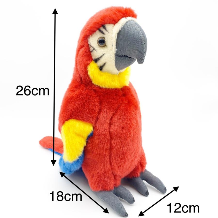 伊豆シャボテン本舗 ぬいぐるみ オウム 高さ約30cm 人気 カラフル かわいい雑貨 インテリア 誕生日 プレゼント ギフト 抱き枕 動物グッズ アニマル Om 01 伊豆シャボテン本舗 通販 Yahoo ショッピング