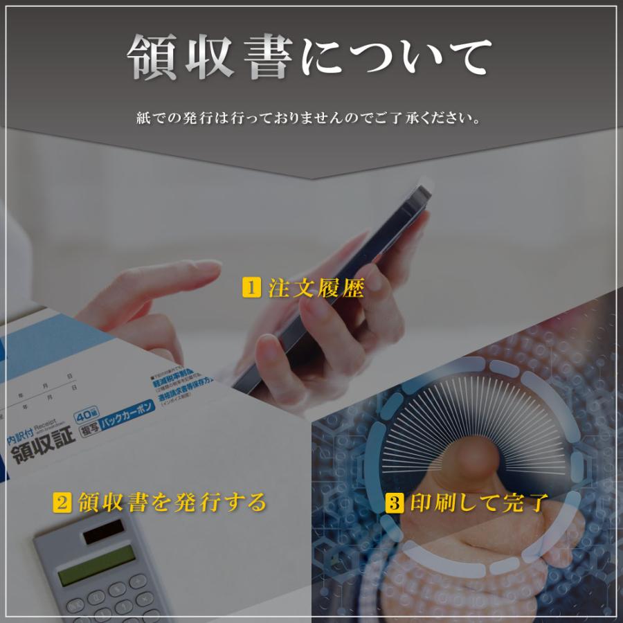 ヒューズ 電源取り出し配線 丸形ギボシ 低背 平型 ミニ平型 10Aヒューズ 1個セット 12V 24V ギボシ オス 車｜izvyj60224｜13