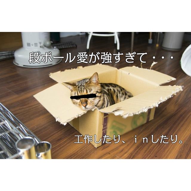 ダンボールパットA4サイズ B段(3ミリ) 600枚 pat_a4_5.jpg