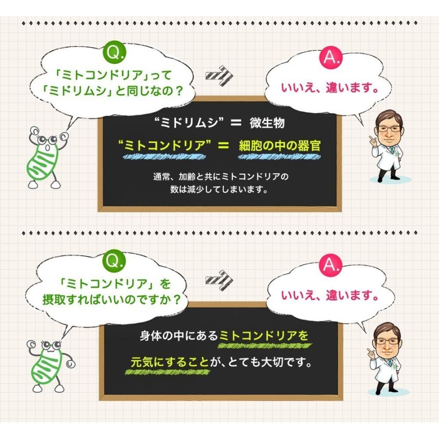 公式】ミトコンサプリP3 ミトコンドリア サプリメント ＜6箱セット＞3