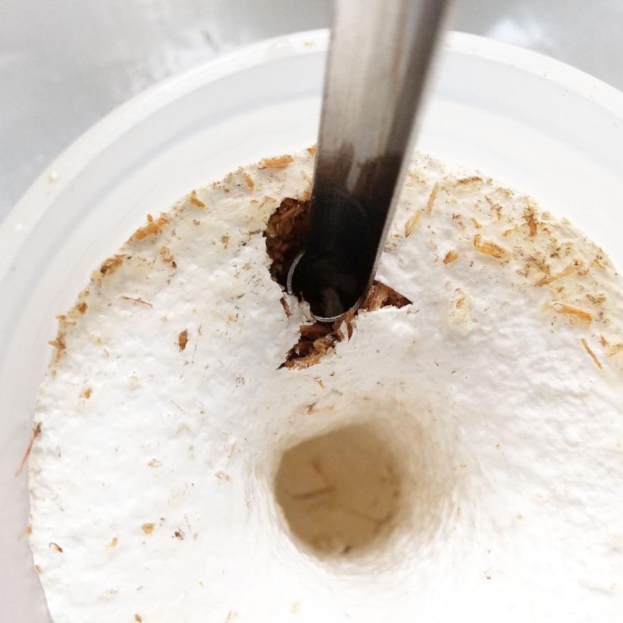 幼虫投入穴空け器 極小 菌糸瓶作成時に 菌床ブロックから菌糸瓶手詰め