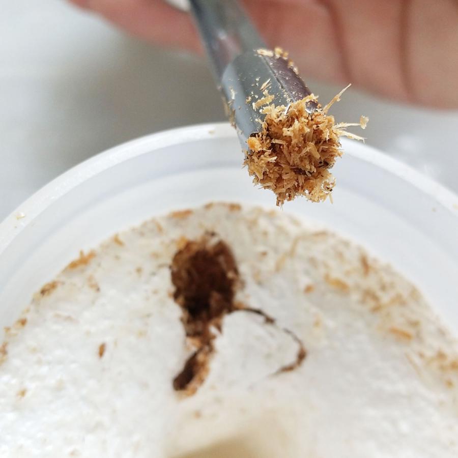 幼虫投入穴空け器 極小 菌糸瓶作成時に 菌床ブロックから菌糸瓶手詰め