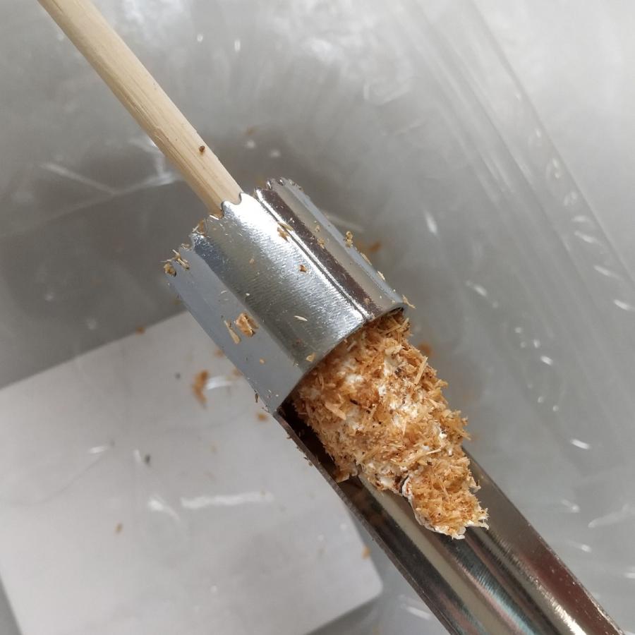 幼虫投入穴空け器 大 菌糸瓶作成時に 菌床ブロックから菌糸瓶手詰め用