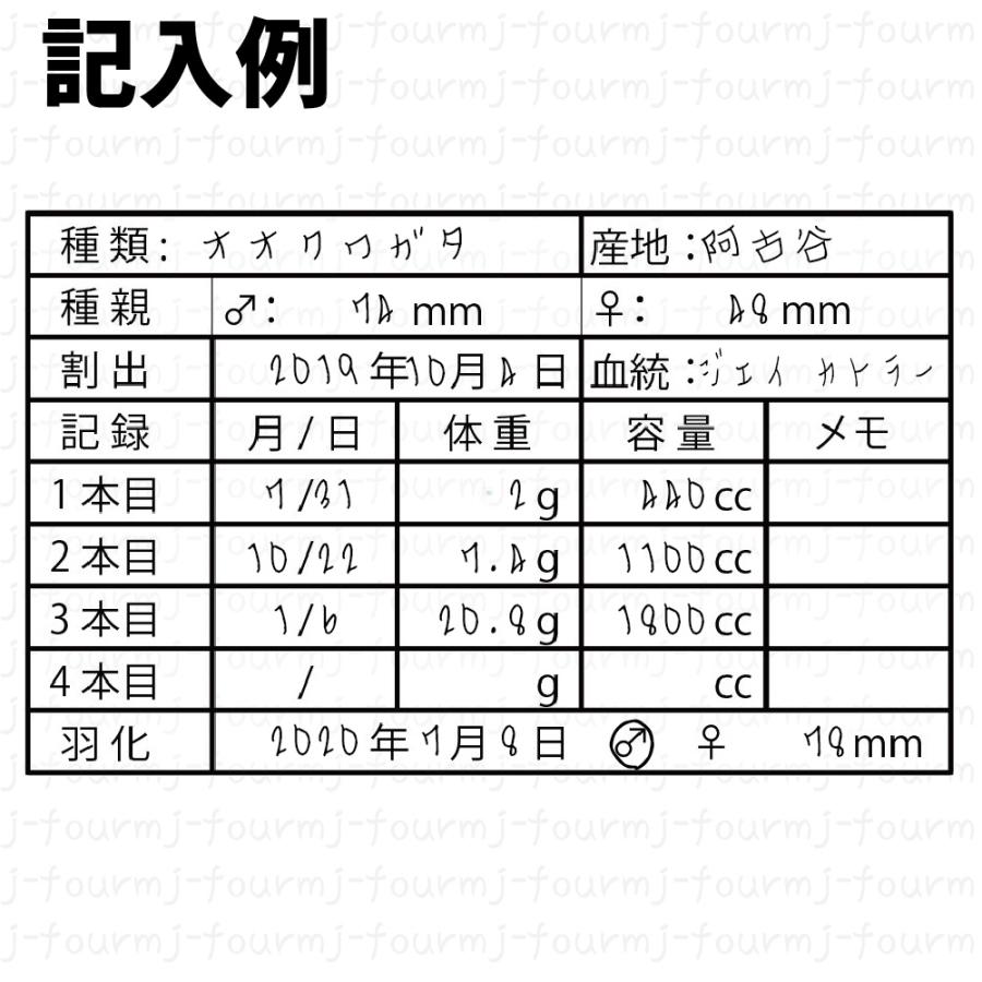 最高の デザインtシャツ専門店 J Fourm幼虫管理ラベルa シール 21面 血統記入可能 お好きな品種印刷記入します Www Simplicitycollectionsoftware Com