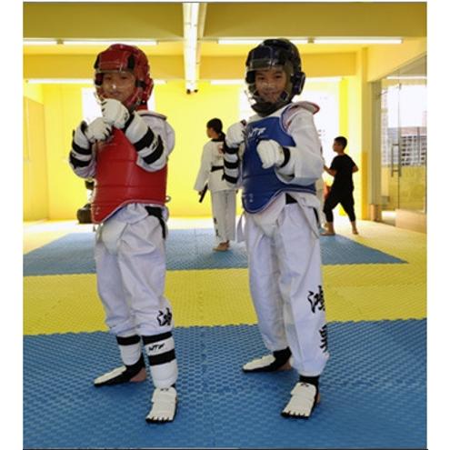 Folpus テコンドー防具6点セット 腕・脚ガード・胸部プロテクター付き