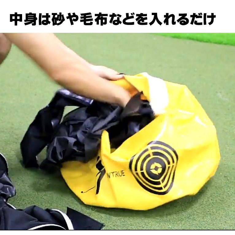 ポイント14倍UP!】ゴルフスイングバッグ ゴルフ 素振り練習用 ヘッド