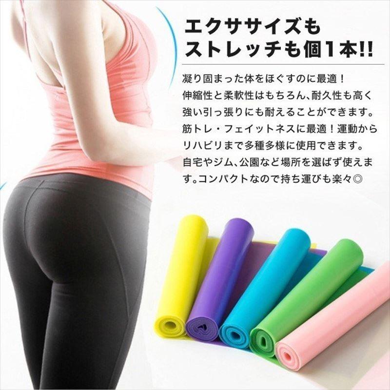 ストレッチバンド エクササイズ バンド チューブ 筋トレ トレーニング