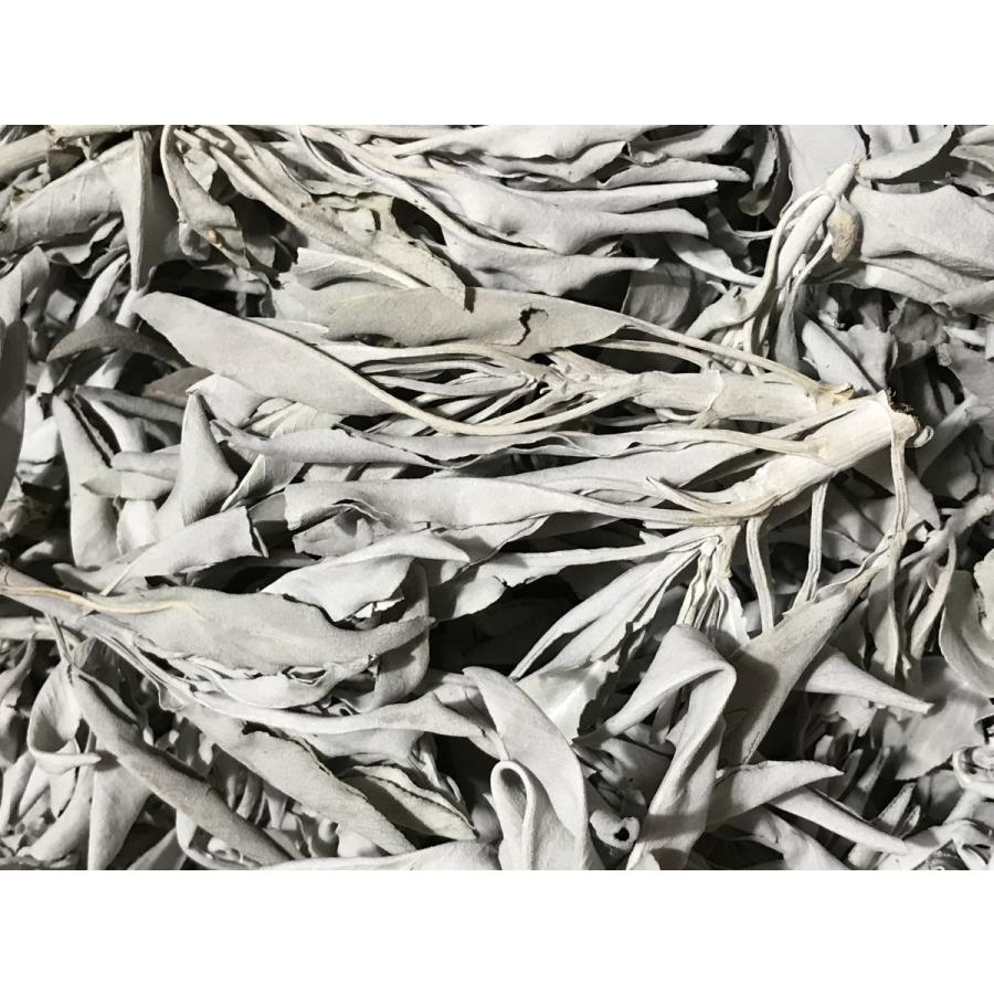 ホワイトセージ ドライハーブ 1kg カリフォルニア産 Salvia apiana
