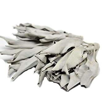 浄化 上質ホワイトセージ30g野生種 プロ用浄化クラスター カリフォルニア産 Apimondia13 Org Ua