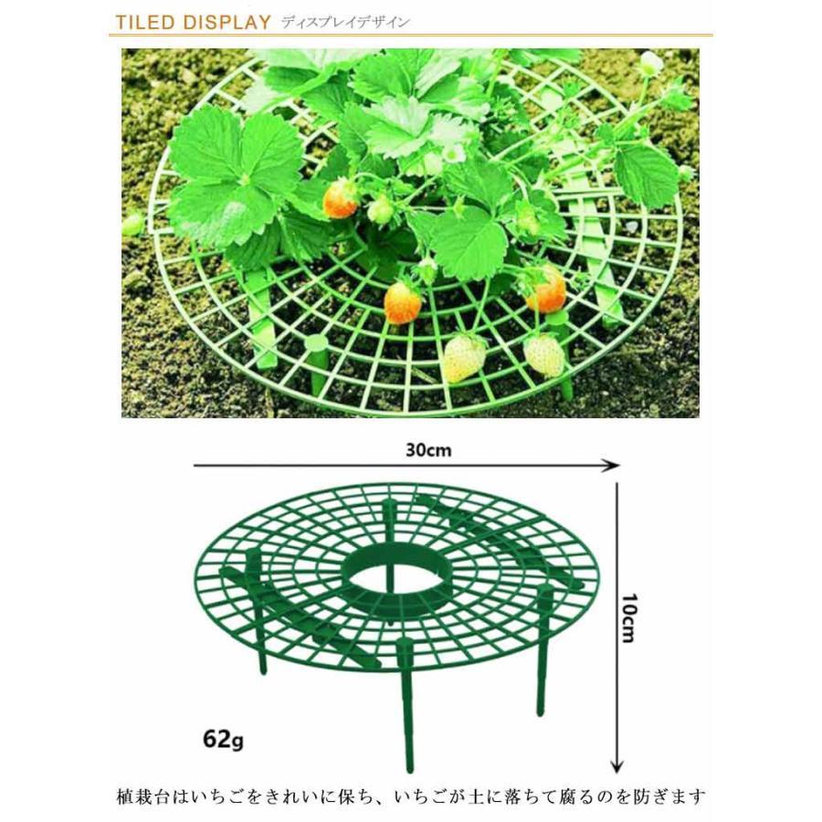 イチゴ棚 イチゴ プランター 棚 10個セット 高さ10cm 苗棚 苺苗棚 栽培棚 支え棚 園芸支柱 いちご 支え棚 イチゴ プランター棚 いちご支え｜j-k-store｜07