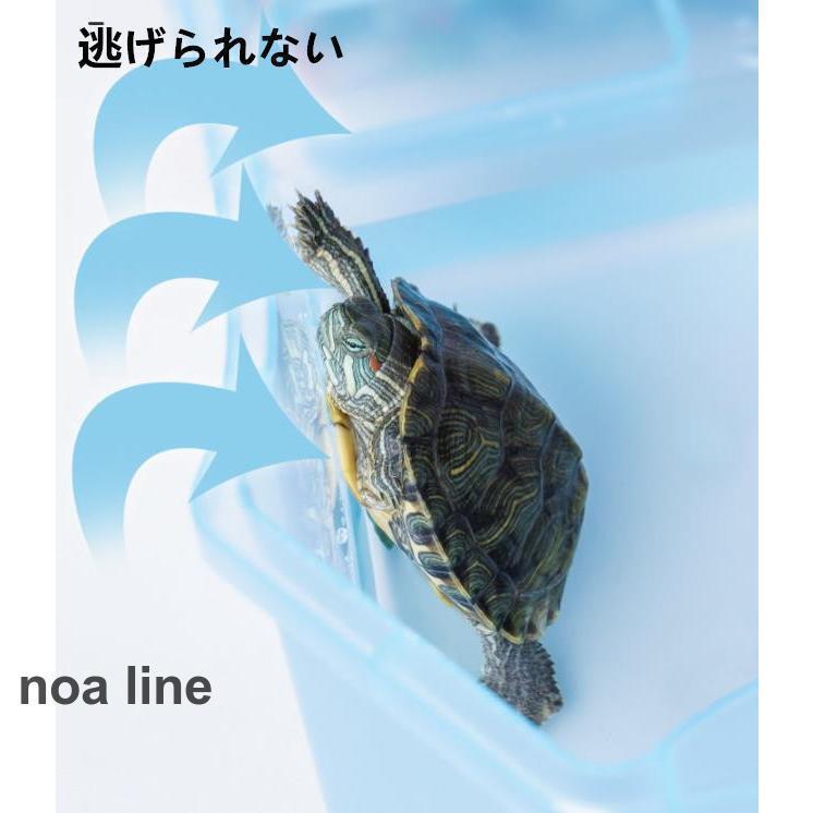 亀の水槽 蓋付き 両生類 カメの楽園 飼育ケース ボックス 日向ぼっこ台 観察 爬虫類 カメ生息地 大空間 亀の楽園 観察 排水孔 可愛い 階段 エサ皿｜j-k-store｜04