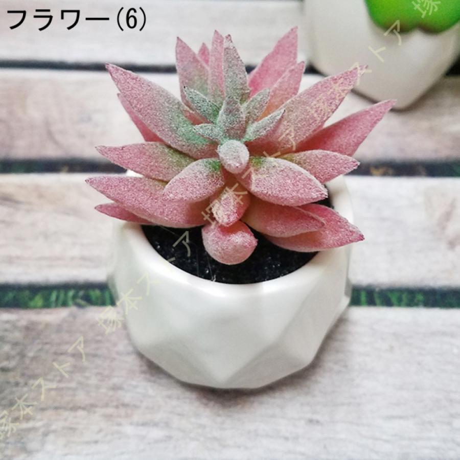 サボテン 多肉植物 フェイクグリーン 人工観葉植物 卓上 サンスベリア ユーカリ 世話いらず 水やり不要 オフィス ホーム 窓側 家 寝室 バスルーム｜j-k-store｜05