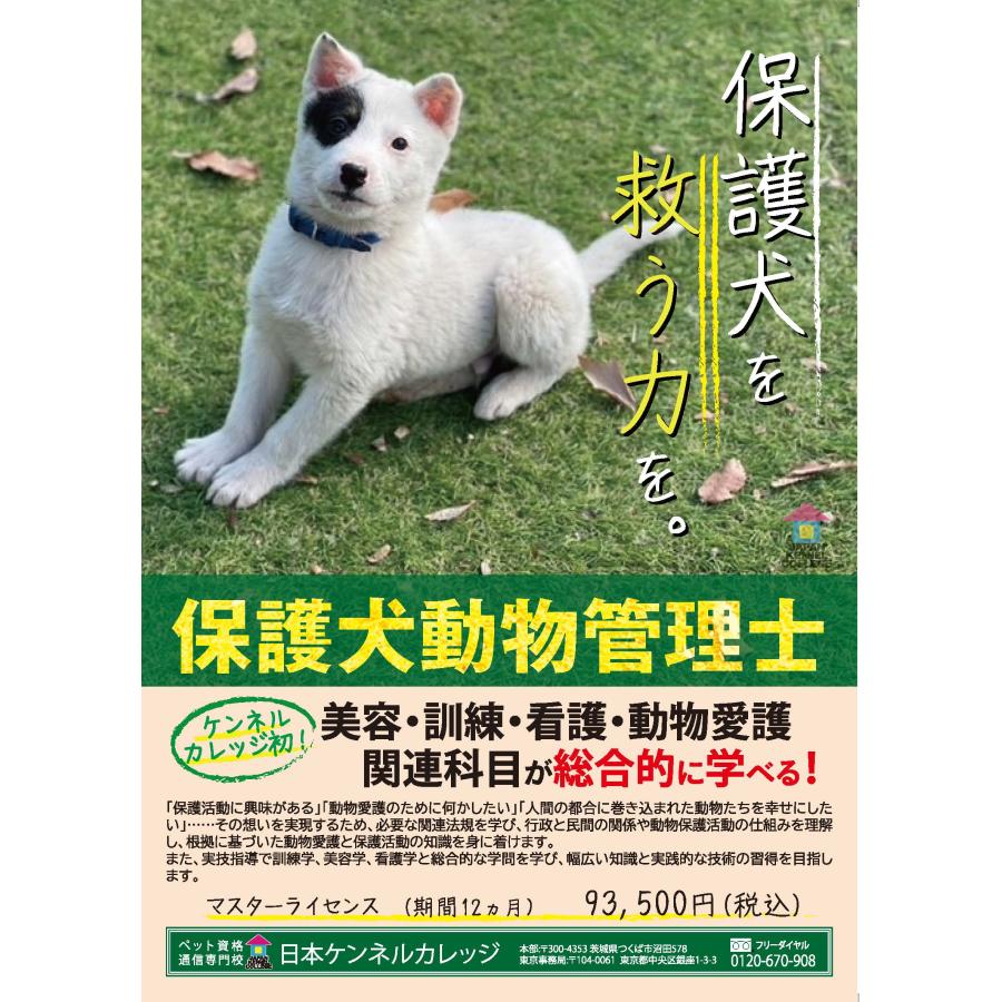 通信 資格 保護犬動物管理士養成専門講座 : ペット資格日本