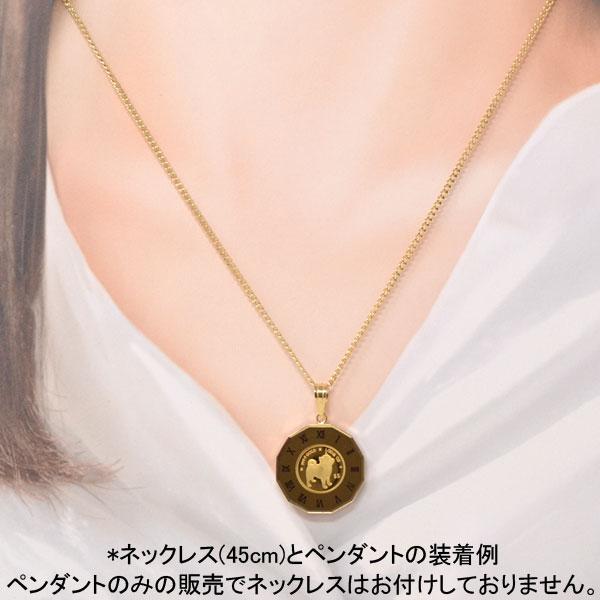 2022年 限定 コイン DOG COIN 犬 豆柴 柴犬 ペンダント トップ 2022年 限定 コイン DOG COIN 犬 豆柴 柴犬 ペンダント トップ