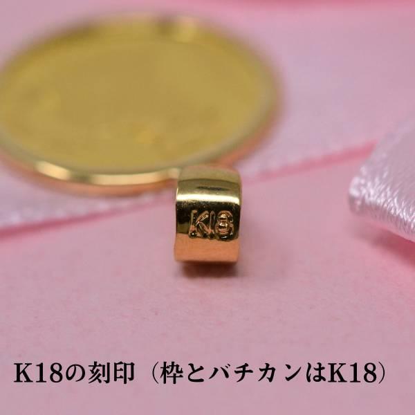 2024年 限定 コイン ネコ キャット CAT COIN ブリティッシュショート
