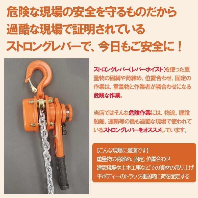HIDAX ストロングレバー HX016 定格荷重1.6t 揚程1.5m レバー