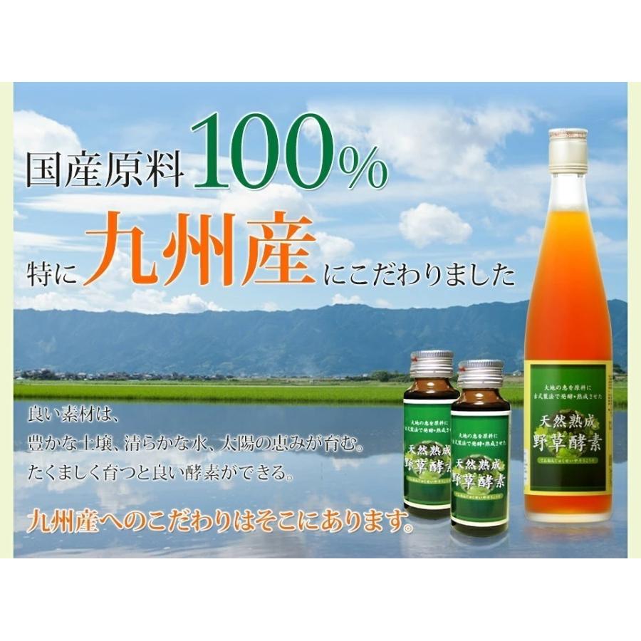 酵素ドリンク ダイエット ファスティング 置き換え 断食 サプリ 無添加 天然熟成 野草酵素 500ml 食品|j-medix|11