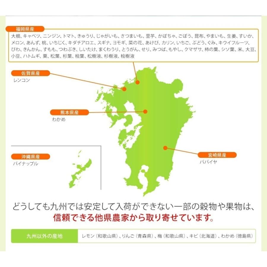 酵素ドリンク ダイエット ファスティング 置き換え 断食 サプリ 無添加 天然熟成 野草酵素 500ml 食品|j-medix|12
