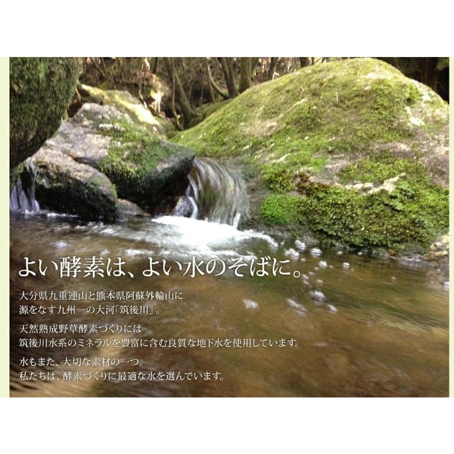 酵素ドリンク ダイエット ファスティング 置き換え 断食 サプリ 無添加 天然熟成 野草酵素 500ml 食品|j-medix|14