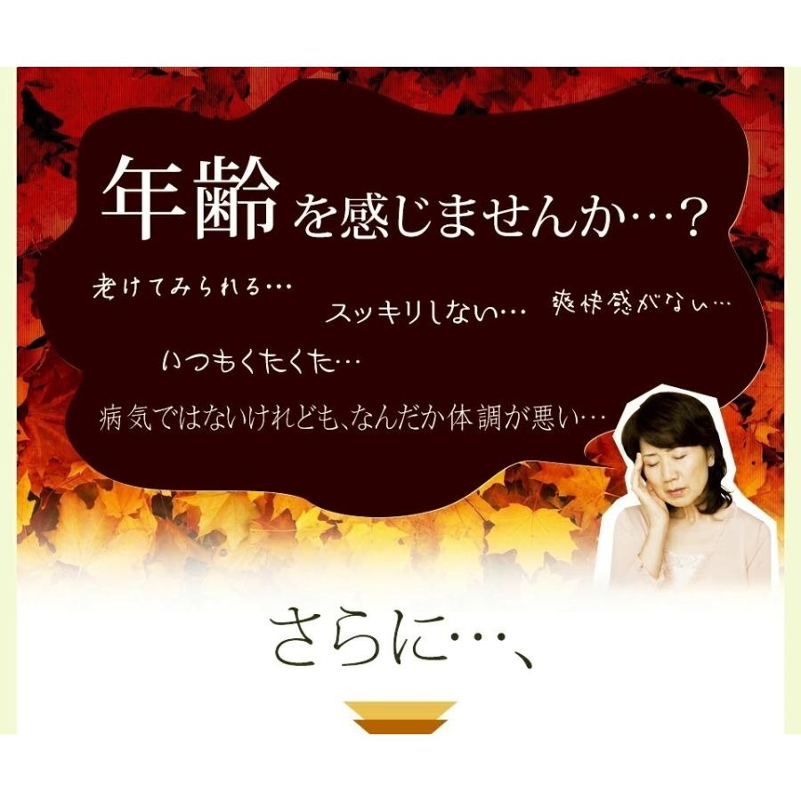 酵素ドリンク ダイエット ファスティング 置き換え 断食 サプリ 無添加 天然熟成 野草酵素 500ml 食品|j-medix|04