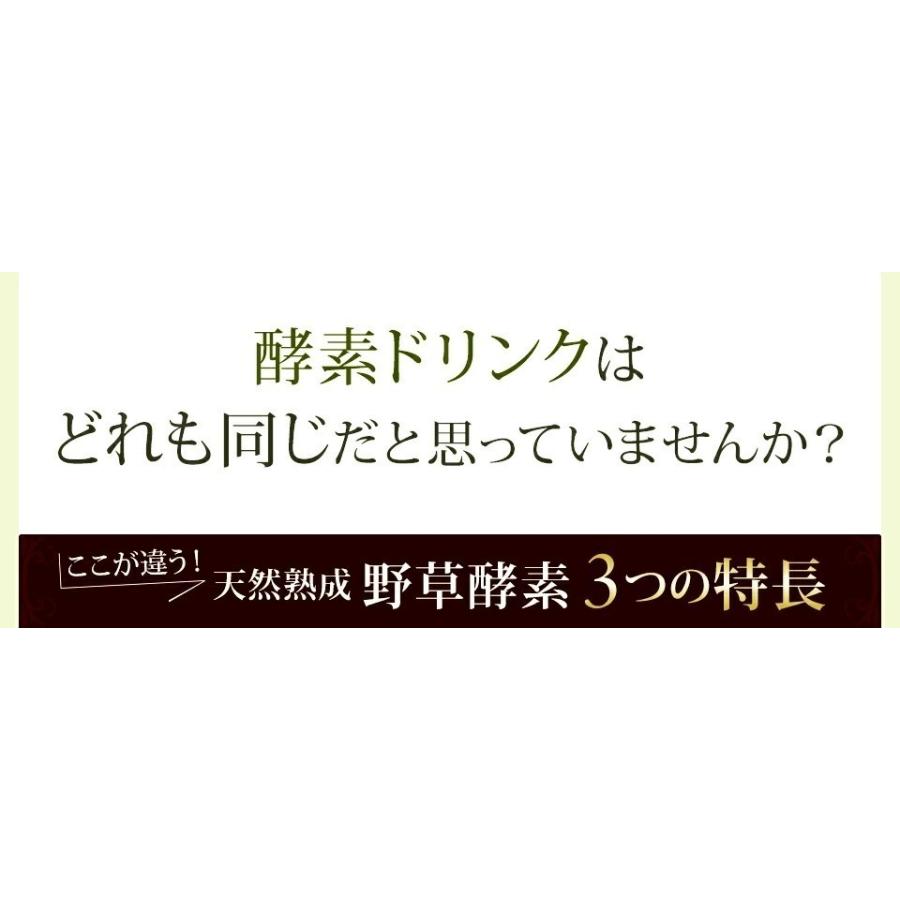 酵素ドリンク ダイエット ファスティング 置き換え 断食 サプリ 無添加 天然熟成 野草酵素 500ml 食品|j-medix|06