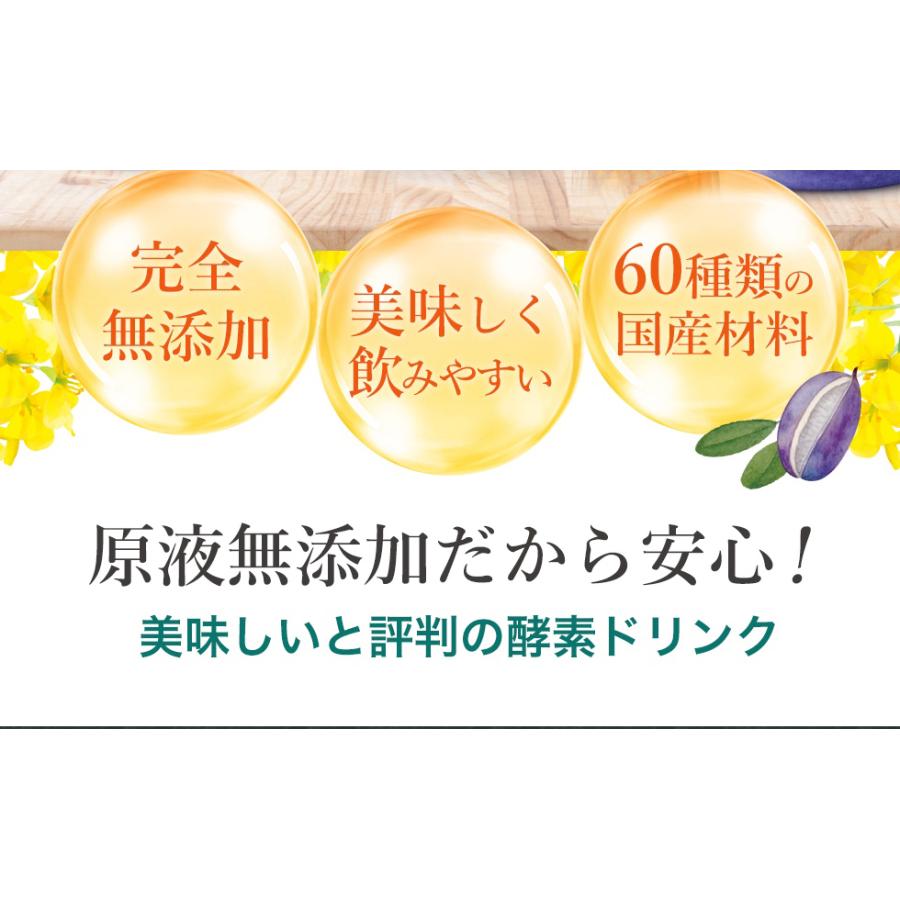 酵素ドリンク 無添加 高級 原液100% 天然熟成 野草酵素 500ml 6 酵素ドリンク 無添加 高級 原液100% 天然熟成 野草酵素 500ml 6