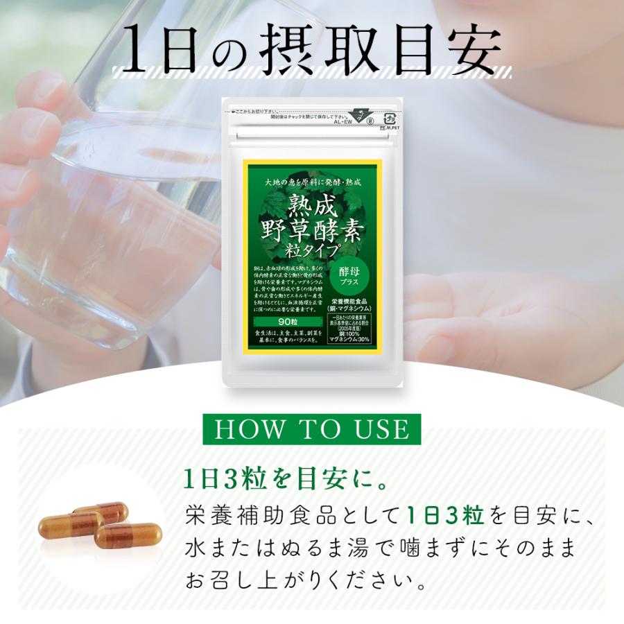 酵素 サプリメント サプリ 熟成 野草酵素粒タイプ 90粒×3袋セット 約90