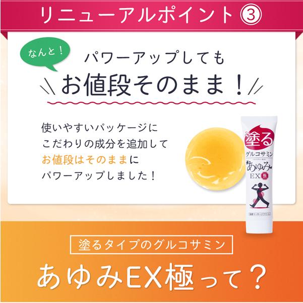グルコサミン10倍 塗るグルコサミン コンドロイチン クリーム 3個セット あゆみEX極み 100g&times;3個 約90日分