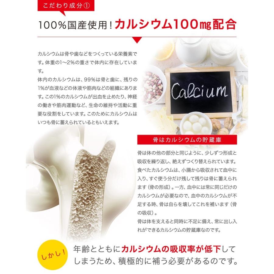 ホースケアサプリ　アミノアシスト　馬の健康管理専用　アミノ酸含有食品　10袋 ホースケアサプリ アミノアシスト 馬の健康管理専用 アミノ酸