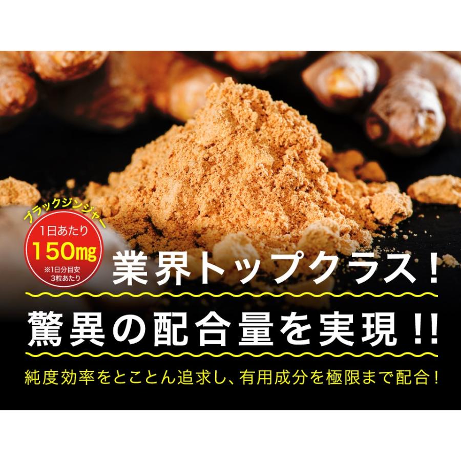 ダイエット サプリ ブラックジンジャー 90粒 約30日分 脂肪 燃焼系 サプリメント 151424ジェイ