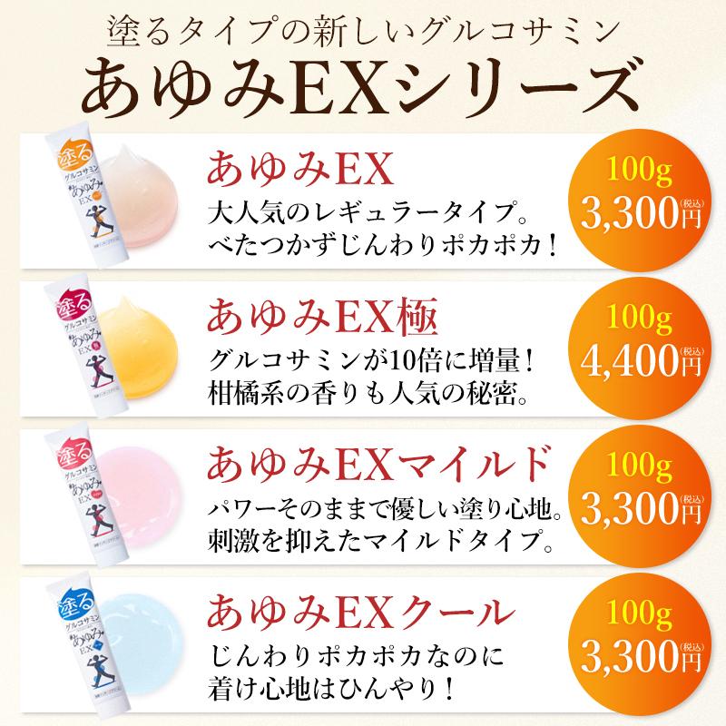 贈り物 プレゼントに！ あゆみEX 100g 詰め合わせ4個セット : ジェイ