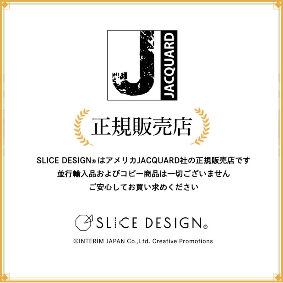 新色 Jacquard （ジャカード）社製 ピニャータ アルコールインク
