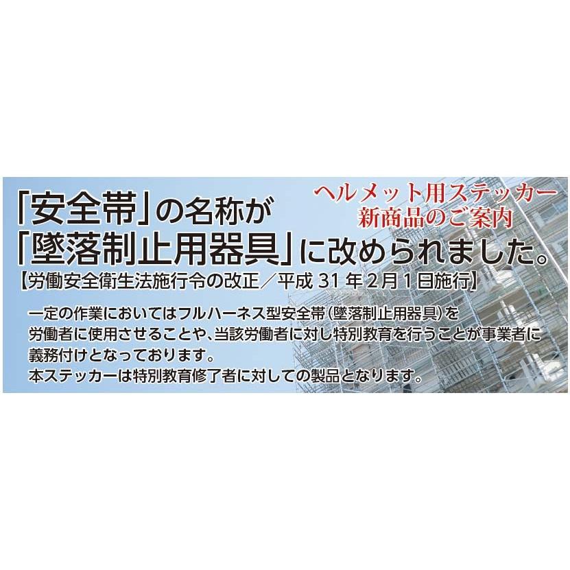 日本緑十字社　ヘルメット用ステッカー　フルハーネス型墜落制止用器具特別教育修了者  233128 　35×25mm　10枚１組　HL-128　【6組まで追跡メール便対応可能】 |  | 01