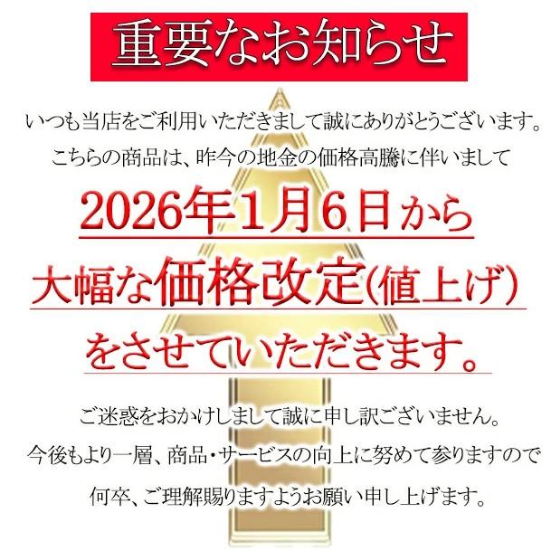 イエロー ゴールド 地金 ドット リング K18YG 18金 指輪 クラシカル