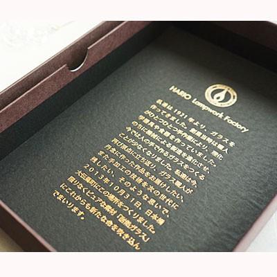 ハリオ ランプワークファクトリー ピアス アール HARIO Lampwork Factory フック 両耳 ガラス アクセサリー HARIO-HAW-R-002 (ネコポス対象)の画像