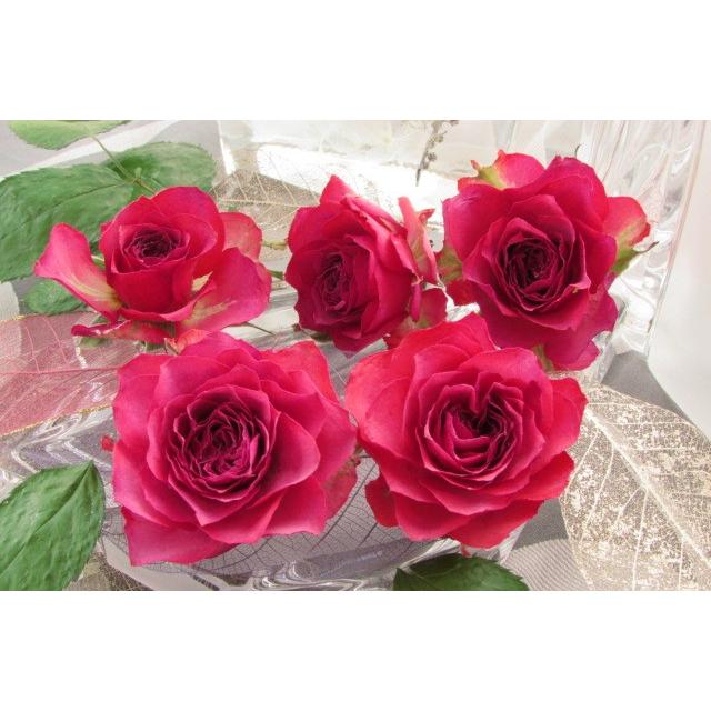 スプレーバラ ローラ 花材 小分け ヘッド5輪 送料198円 C13 Seasons シーズンズ 通販 Yahoo ショッピング