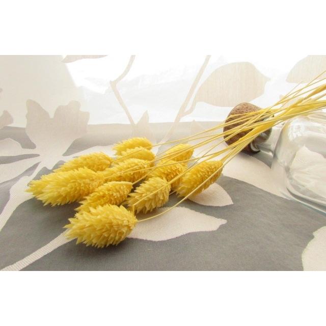 ポアプランツ イエロー 花材 小分け 12本 送料180円|j-seasons|02