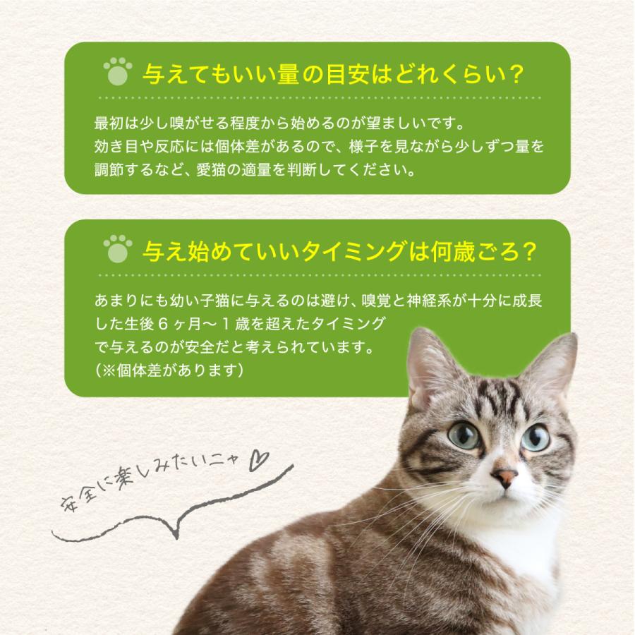 猫用 天然 100％ マタタビ 乾燥 枝 おもちゃ しつけ つめとぎ 無添加 安心 九州産 (50ｇ)｜j-select｜06