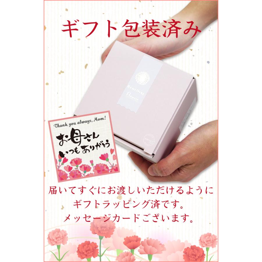母の日 プレゼント 人気 グラス ゆらゆらと揺れるかわいらしいグラス 贈答用 ギフト 包装済み 箱入り |  | 05